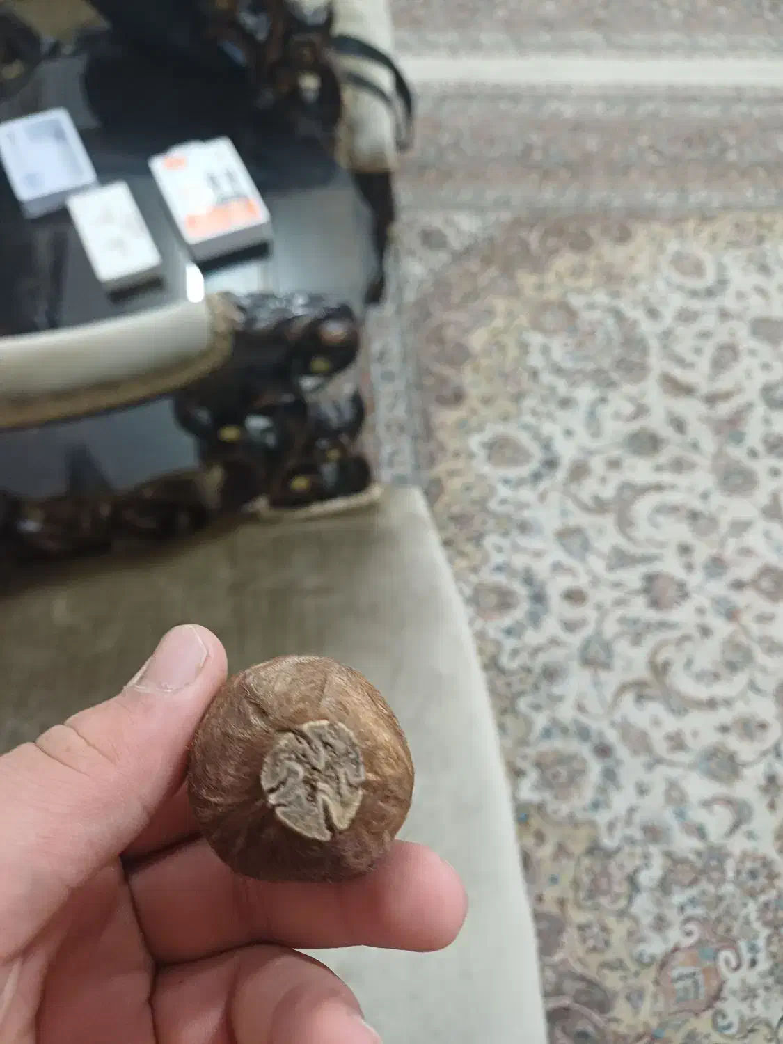 مشگه اهو|آرایشی، بهداشتی، درمانی|دامغان, |دیوار