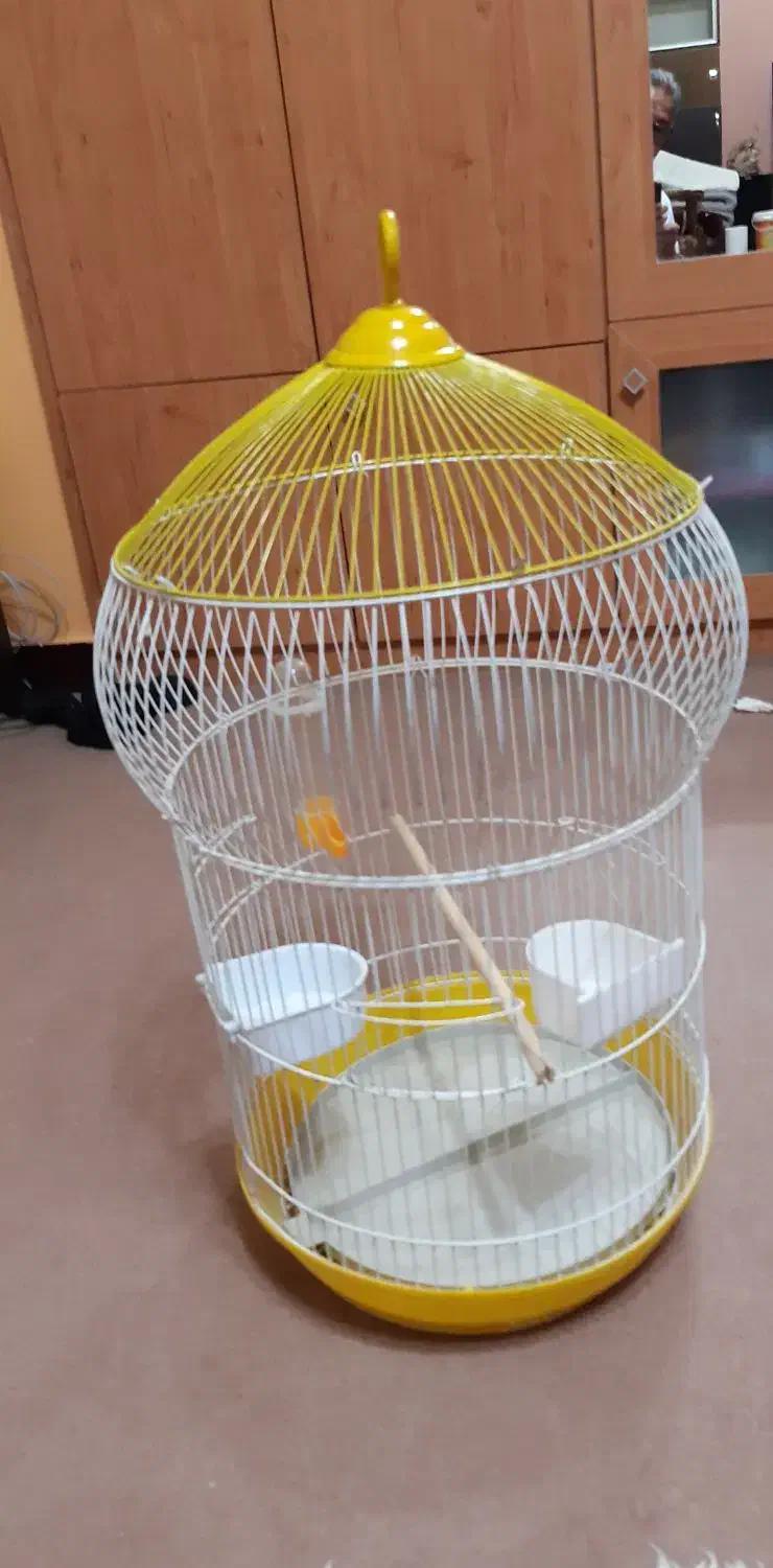 قفس خیلی شیک وزیبا مخصوص طوطی و عروس هلندی|لوازم جانبی حیوانات|کرمانشاه, |دیوار