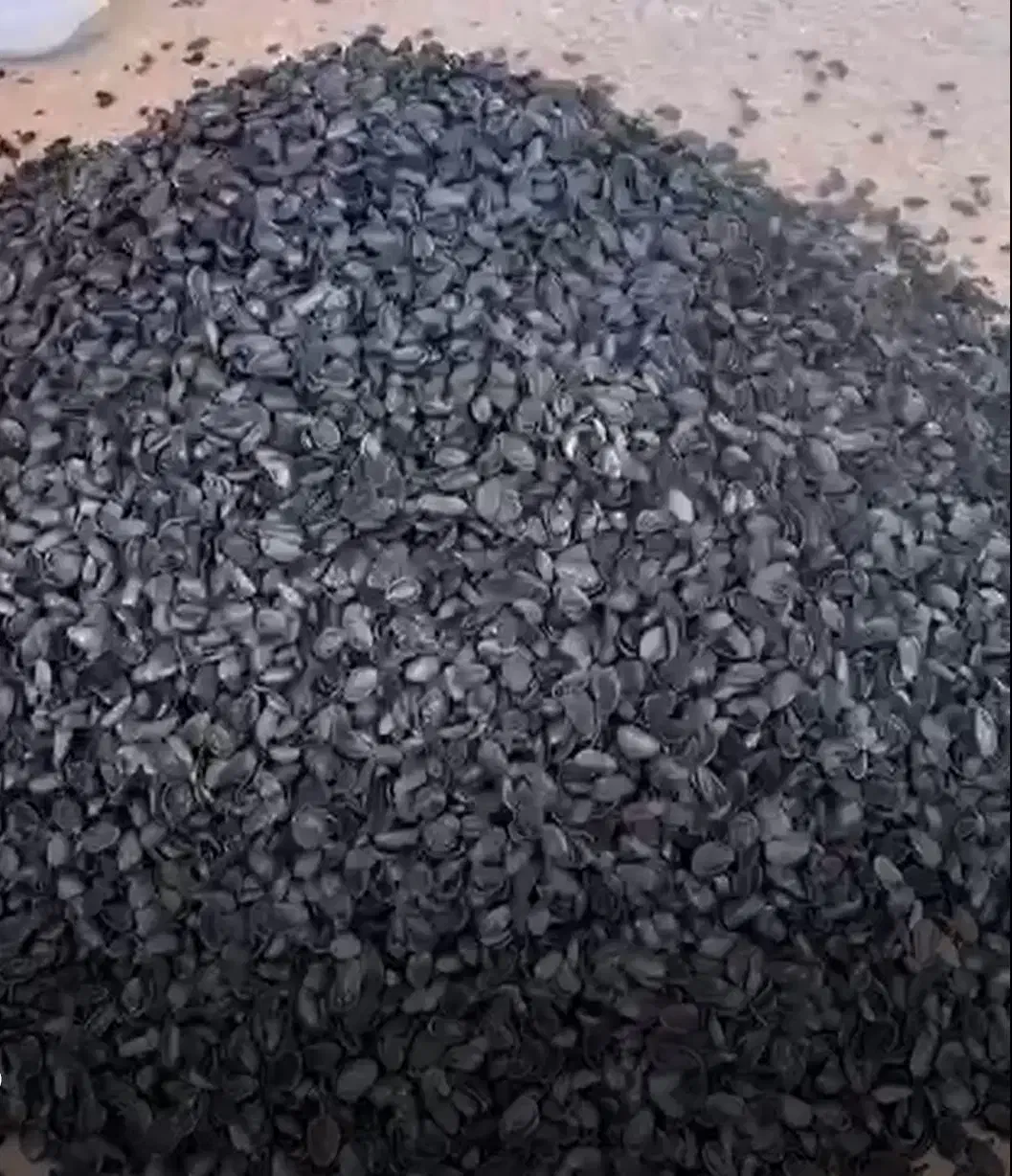 کربن پسته|خدمات باغبانی و درختکاری|بیرجند, |دیوار