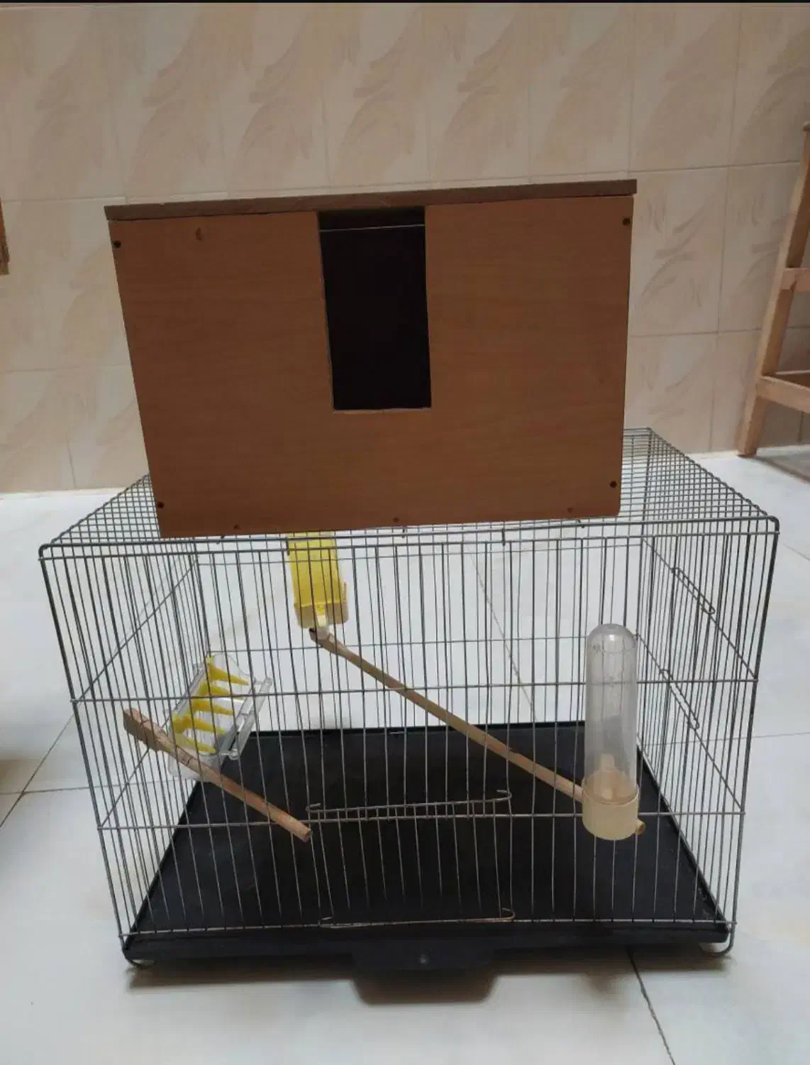 قفس عروس هلندی|لوازم جانبی حیوانات|تهران, جوادیه|دیوار