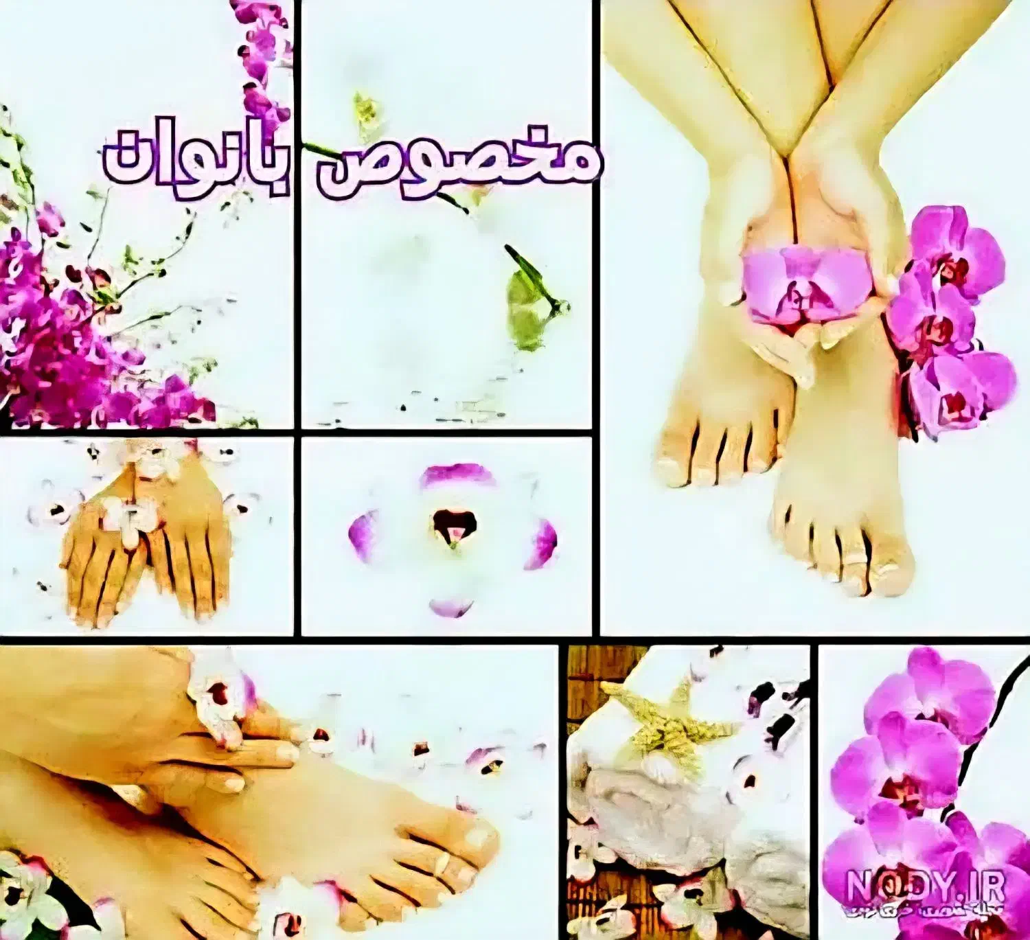 اپیلاسیون سریع و حرفه‌ای|خدمات آرایشگری و زیبایی|شاهین‌شهر, عطار|دیوار