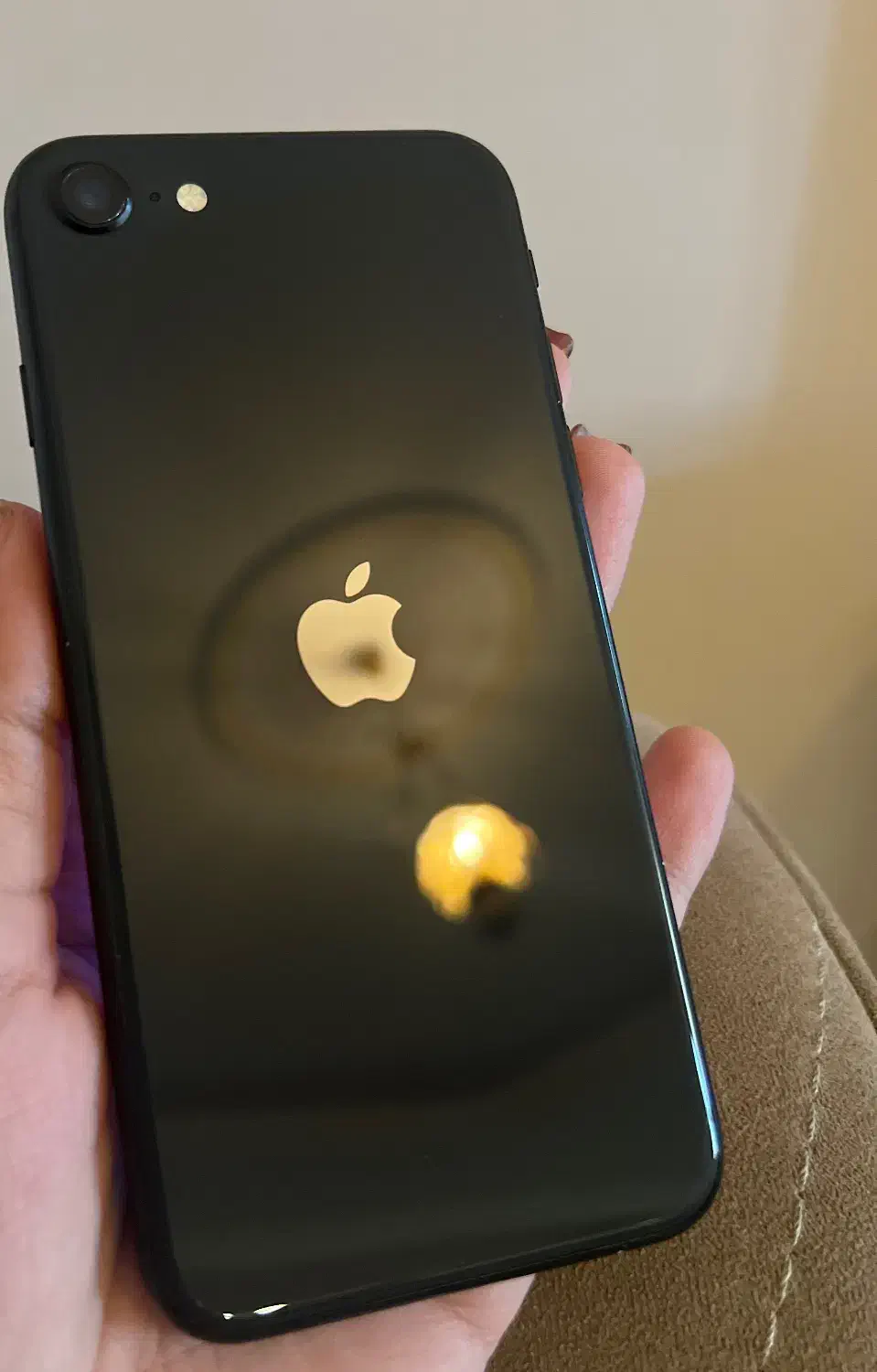 iphone SE|موبایل|تهران, زیبادشت|دیوار