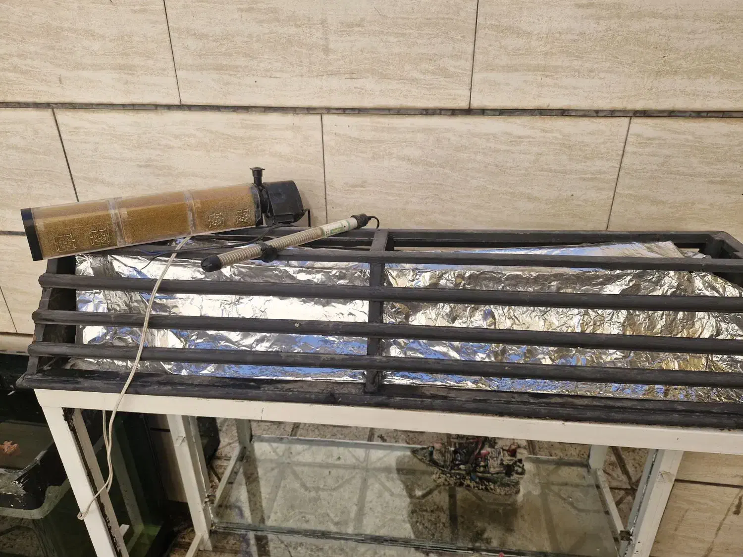 آکواریوم شرکتی شیشه خم10میل|ماهی|مشهد, حضرت حجت|دیوار