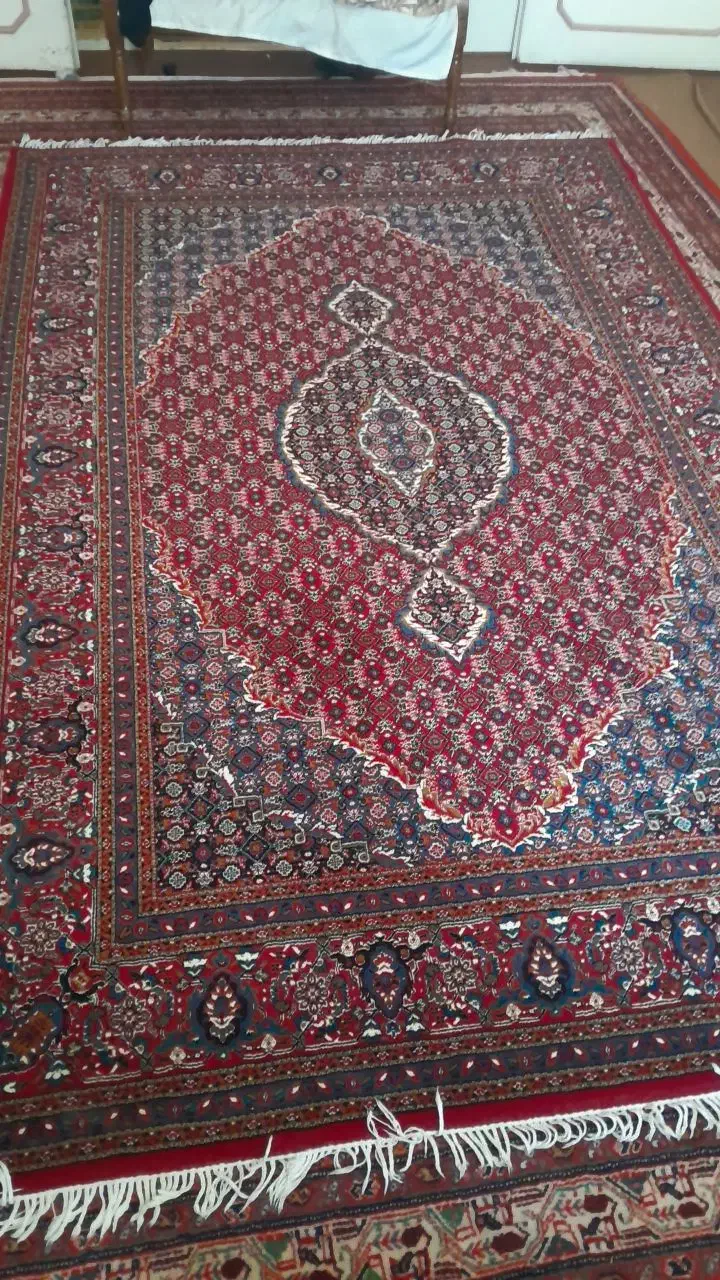 فرش ۶متری|فرش|کرمانشاه, |دیوار