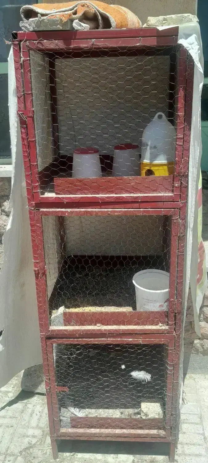 فروش ۲ قفس دوطبقه وسه طبقه ۷تومن  وتکی ۴تومن و۵توم|لوازم جانبی حیوانات|بروجن, |دیوار