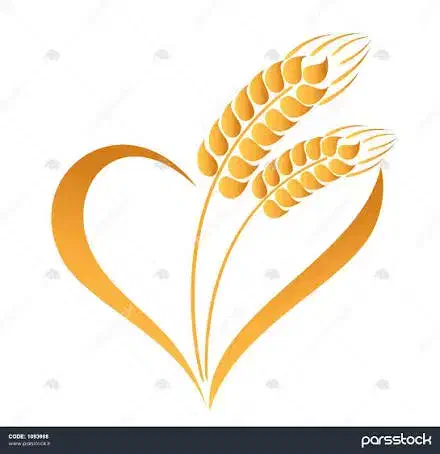 جذب همکار خانم|استخدام خدمات فروشگاه و رستوران|قزوین, |دیوار