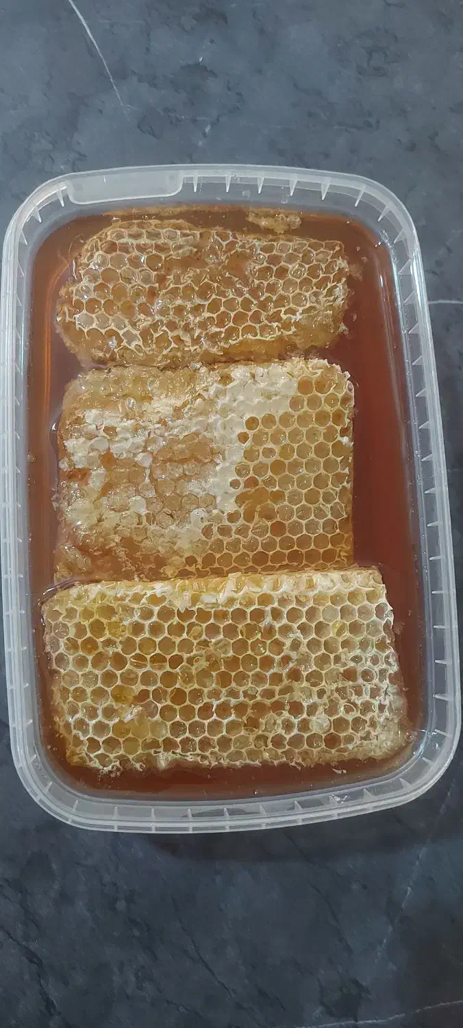 تخفیف ویژه پاییزی  عسل‌های  طبیعی به شرط آزمایش|خوردنی و آشامیدنی|فسا, |دیوار