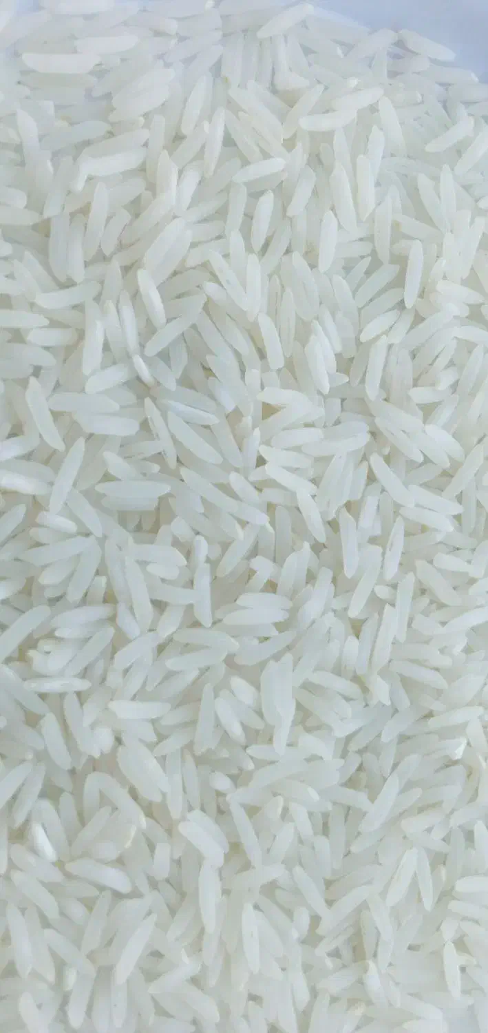 فجر سوزنی درجه یک|خوردنی و آشامیدنی|گرگان, |دیوار