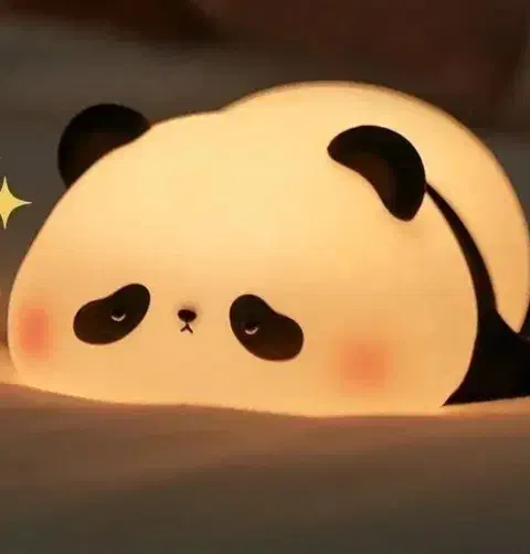 چراغ خواب پاندا|چراغ خواب و آباژور|زاهدان, |دیوار