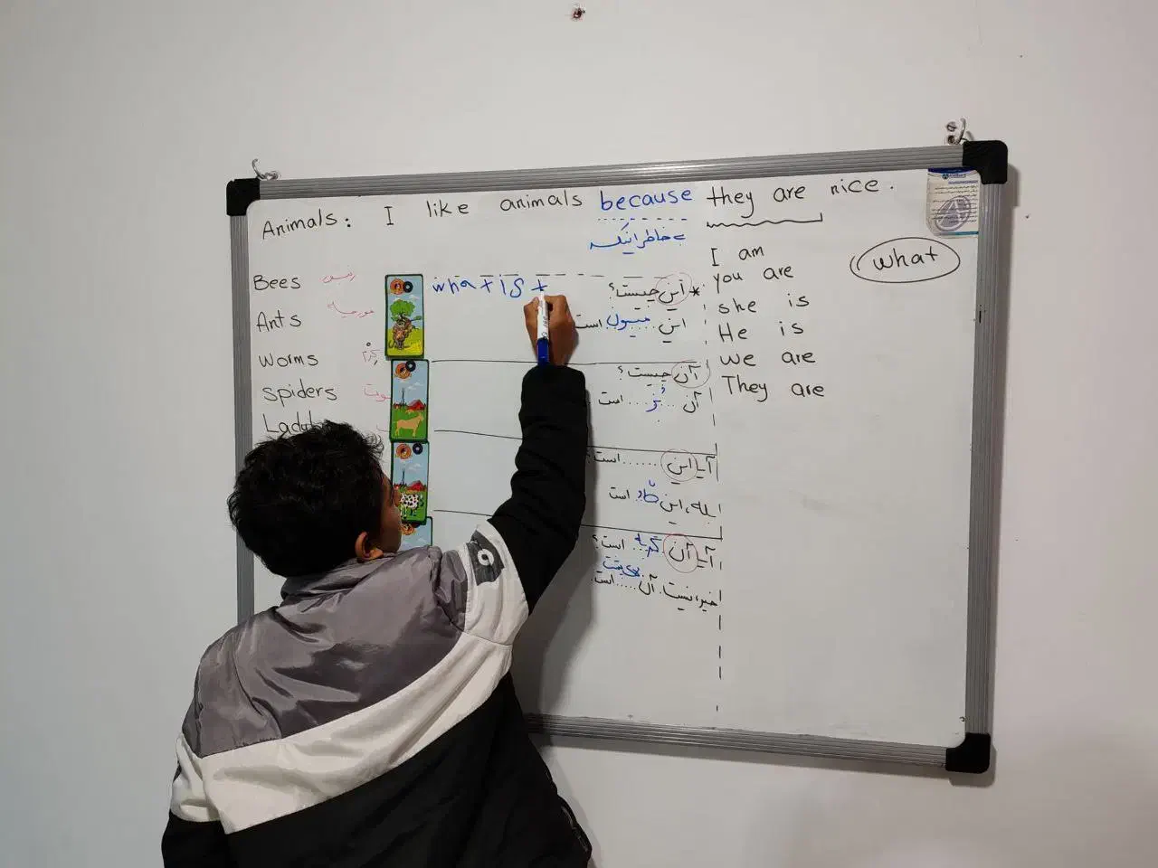 آموزش زبان انگلیسی|خدمات آموزشی|گرگان, |دیوار