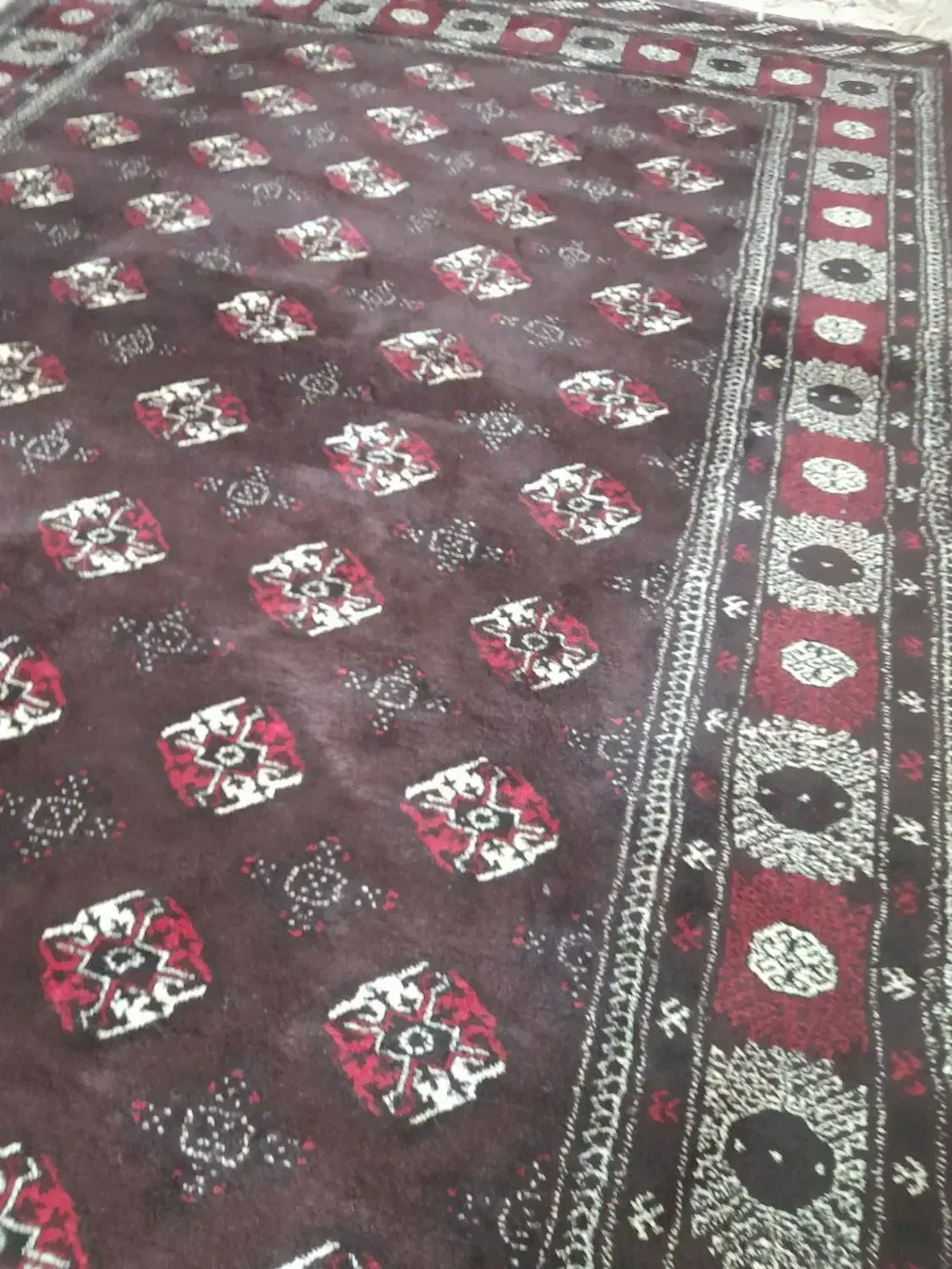 فروش قالی|فرش|گنبد کاووس, |دیوار