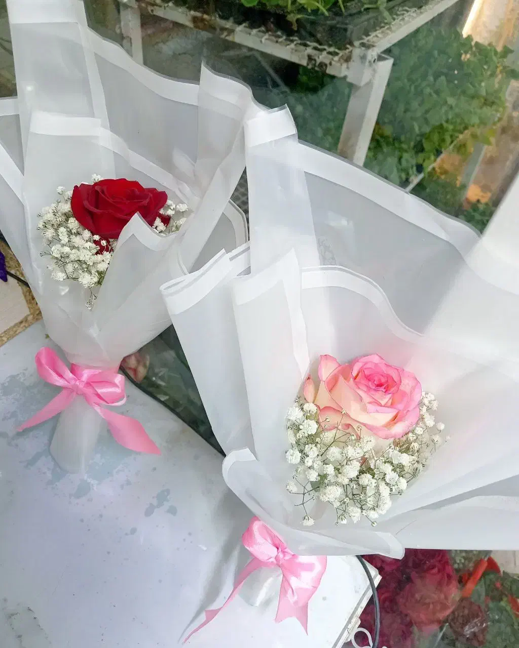 گل رز طبیعی|گل و گیاه طبیعی|بیرجند, |دیوار