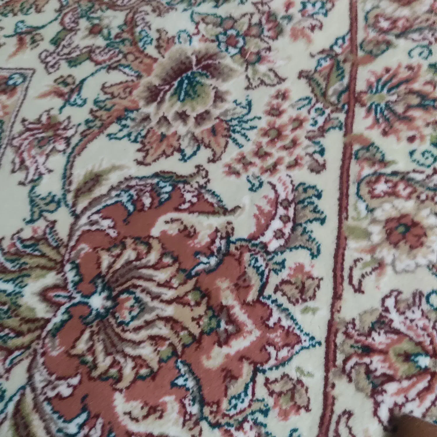 خار شتر|خدمات باغبانی و درختکاری|سبزوار, رضوی|دیوار