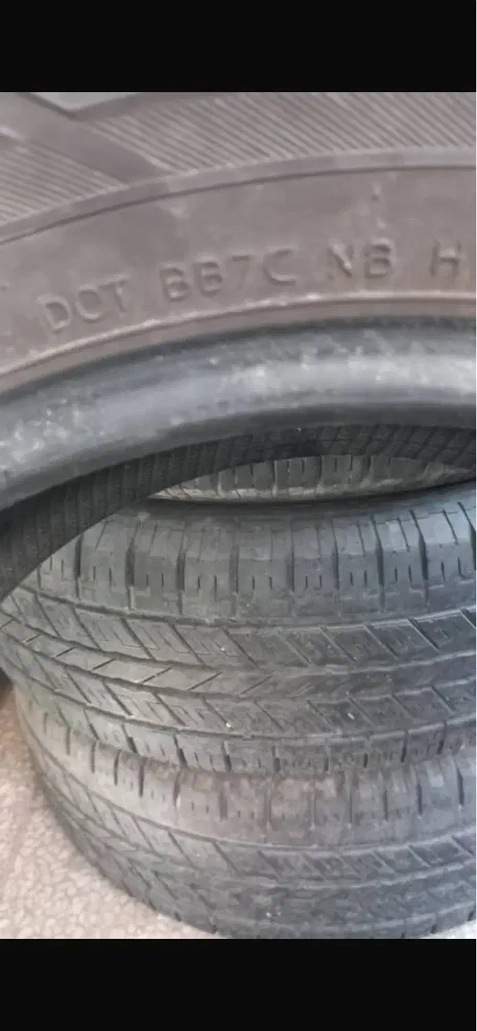 لاستیک|قطعات یدکی و لوازم جانبی|کاشان, الغدیر|دیوار