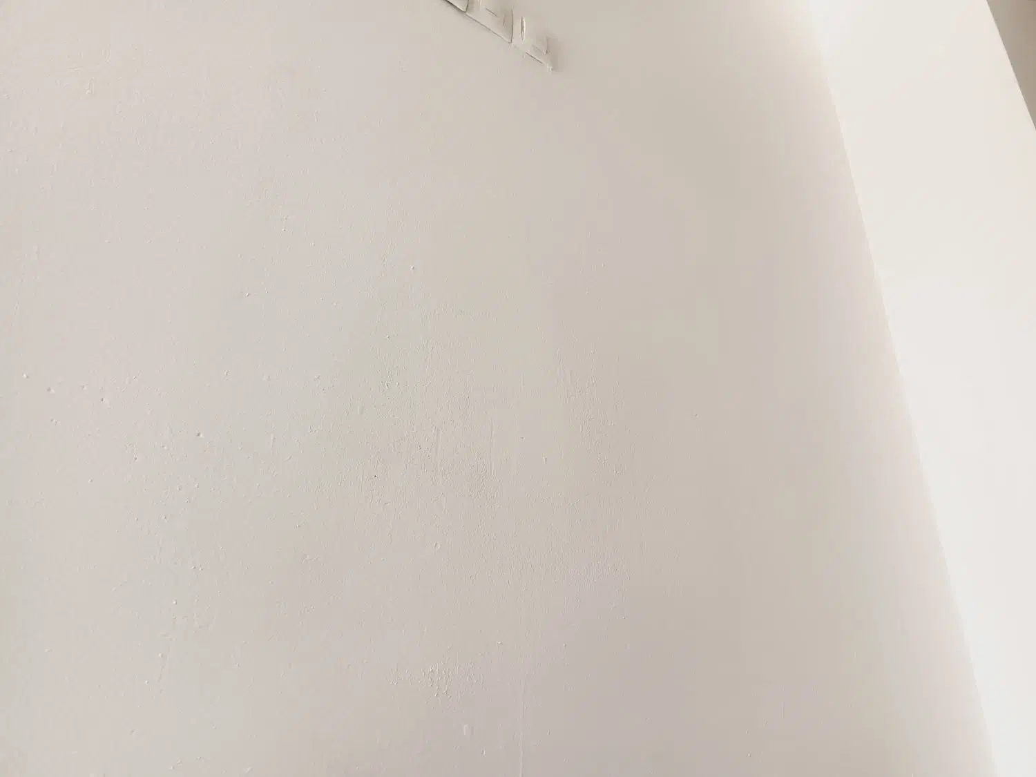 گچ نقاشی|خدمات پیشه و مهارت|سیرجان, |دیوار