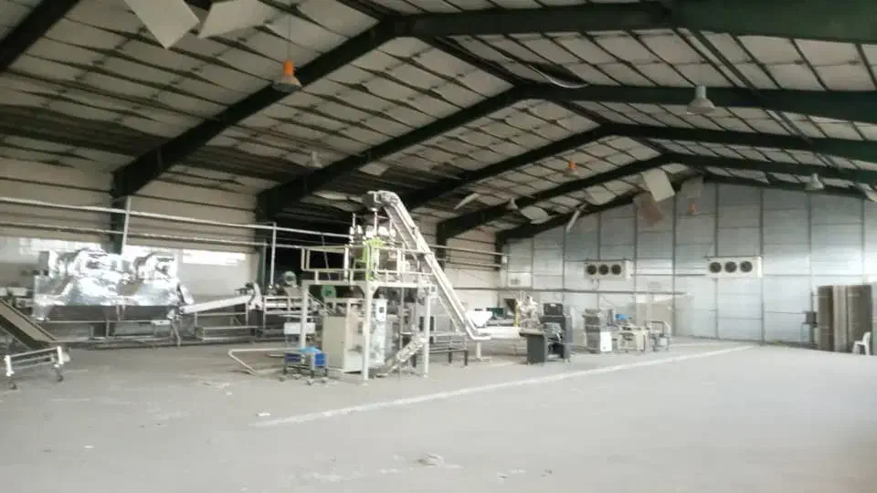 ۴۵۰۰ سوله صنعتی|اجارهٔ دفتر صنعتی، کشاورزی، تجاری|ایرانشهر, |دیوار