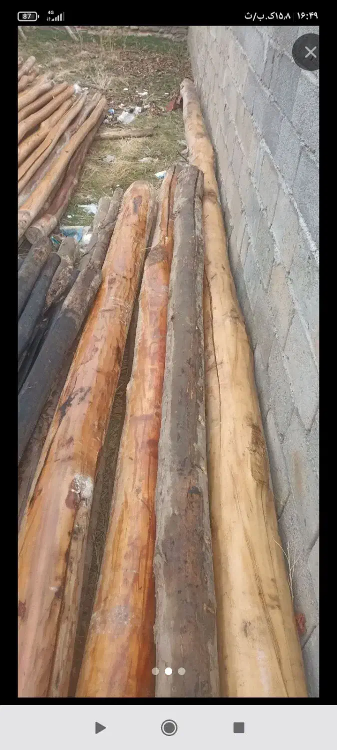 از سقف دراومده سالم وپوسی همون دام تیری خریداریم|خدمات باغبانی و درختکاری|دشتابی, |دیوار
