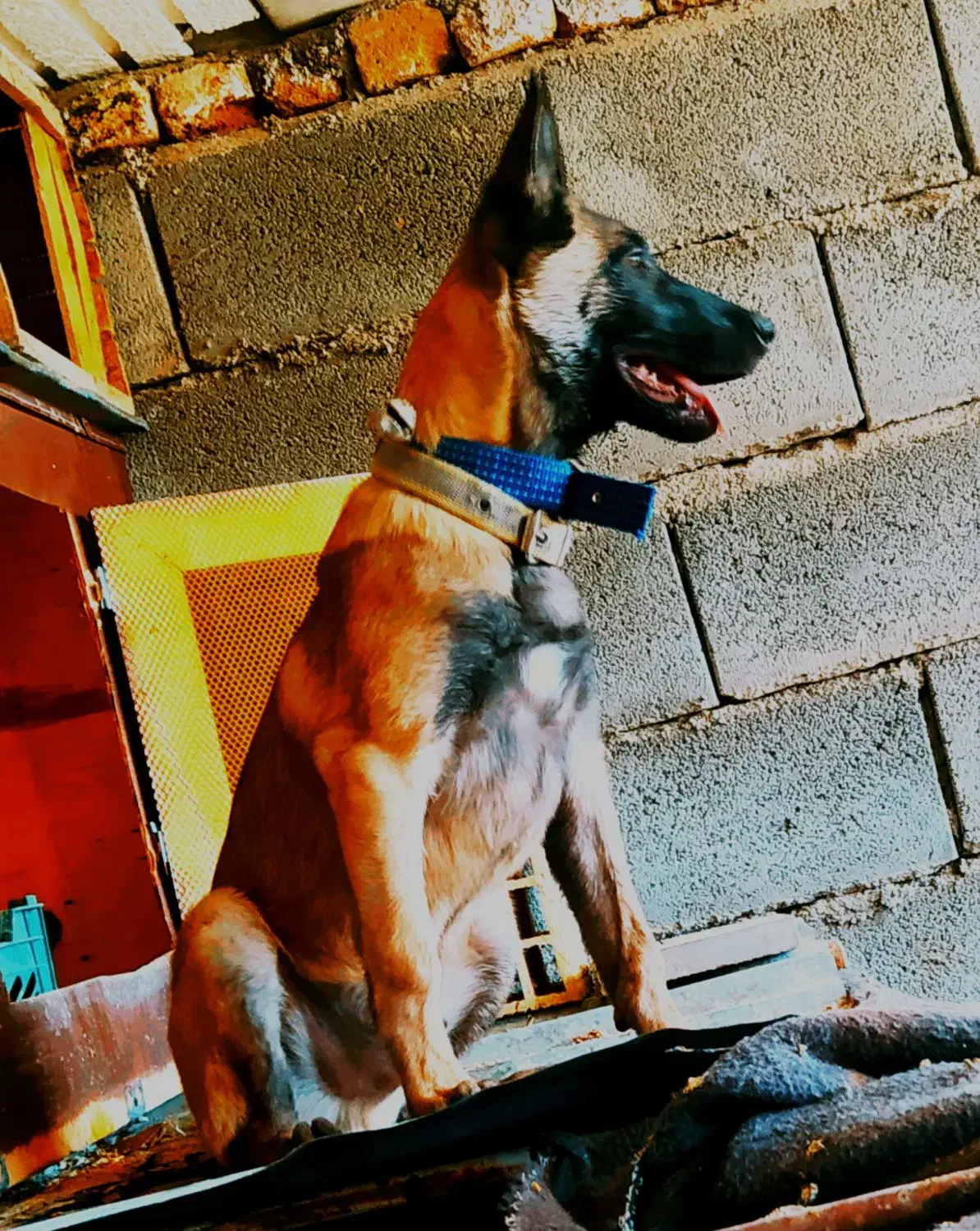 مالینیوز|اشیا|سمیرم, |دیوار