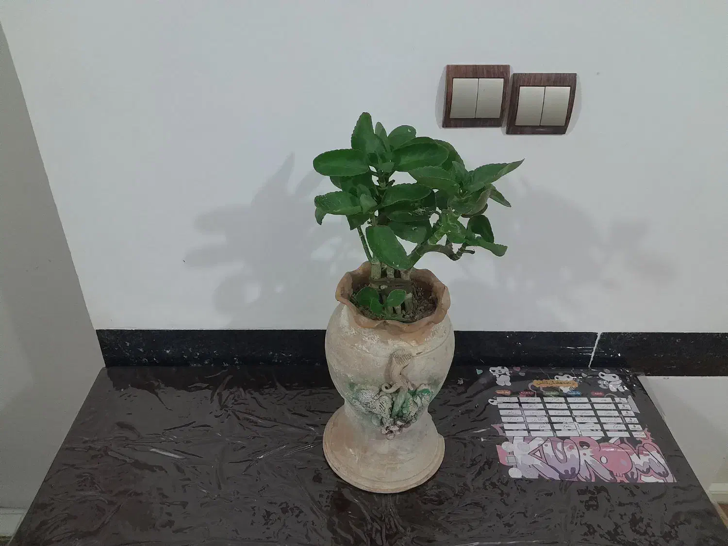 بالزدانس|صنایع دستی و سایر لوازم تزئینی|ترکمانچای, |دیوار