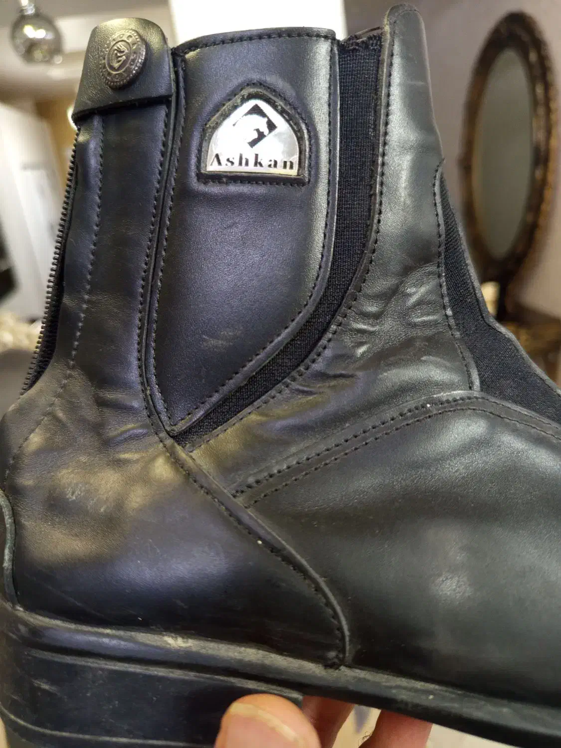 پوتین سوارکاری اشکان|اسب و تجهیزات اسبسواری|تهران, گلستان (شهرک راه آهن)|دیوار