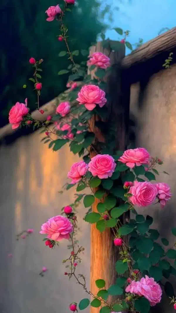 منزل  ویلایی کلدوزخ ۲|فروش خانه و ویلا|ایذه, |دیوار