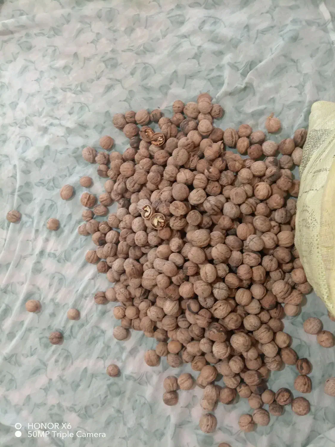 گردو ،، محصولات ارگانیک ،، دهبکری|خوردنی و آشامیدنی|بم, |دیوار