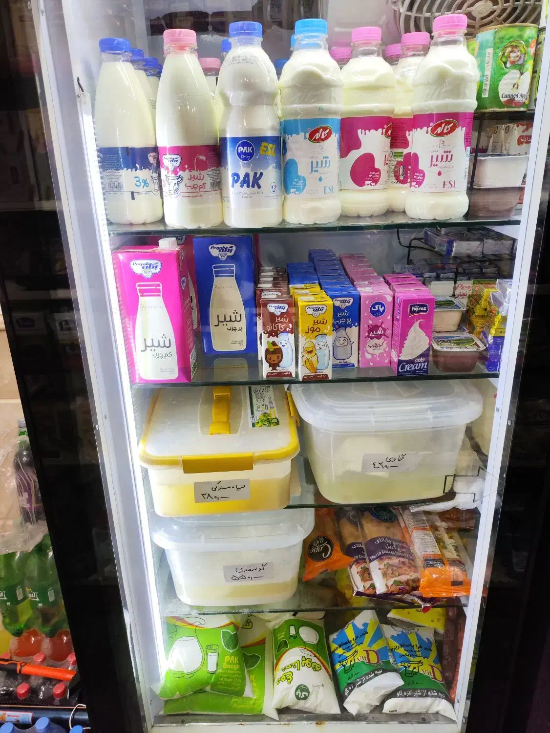 یخچال سه درب ایستاده|یخچال و فریزر|لشت نشا, |دیوار