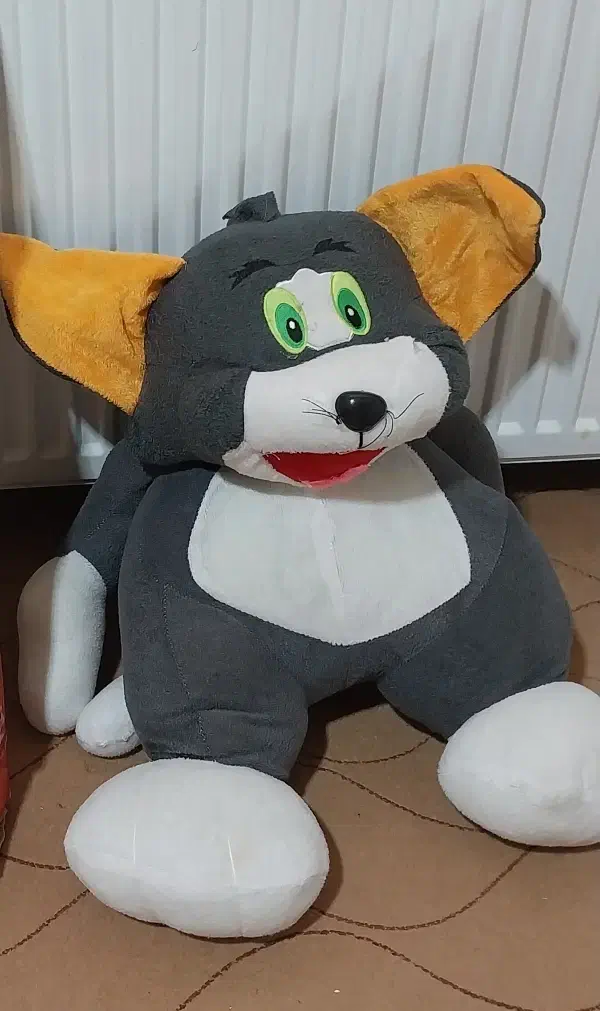 فروش گربه|گربه|سقز, |دیوار