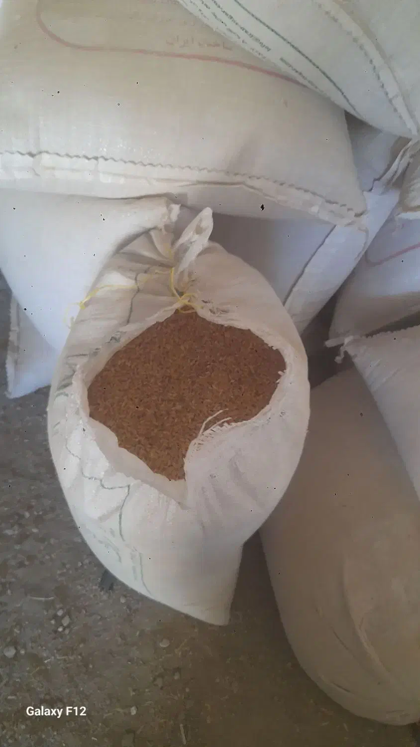 گندم دامی|حیوانات مزرعه|داران, |دیوار