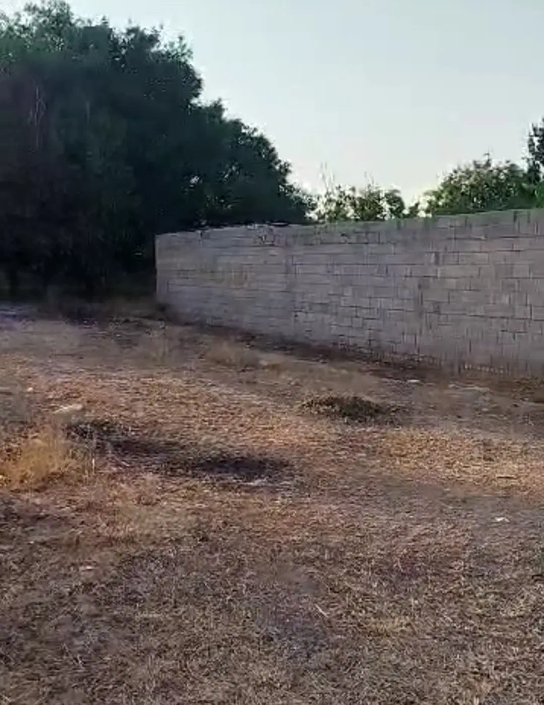 فروش فوری ۴۷۵ متر زمین در ابهر|فروش زمین و ملک کلنگی|صائین قلعه, |دیوار