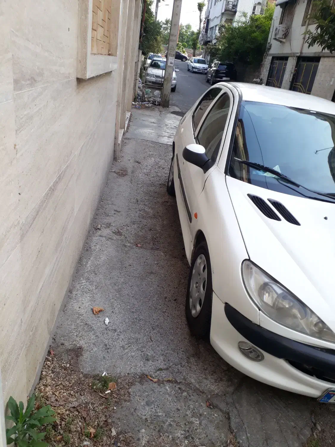 پژو۲۰۶مدل۸۲|خودرو سواری و وانت|لاهیجان, رجایی|دیوار