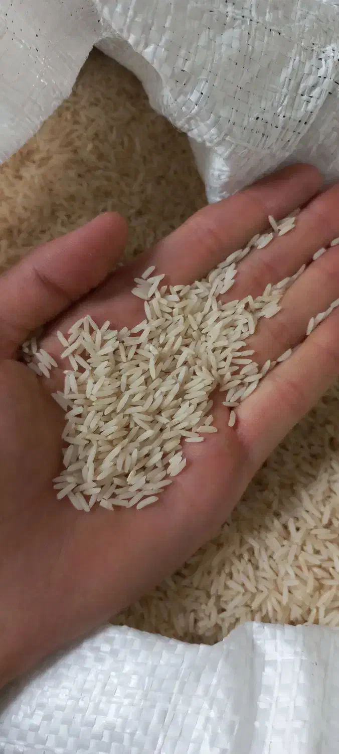 برنج دم سیاه|خوردنی و آشامیدنی|مشهد, کوی دروی|دیوار