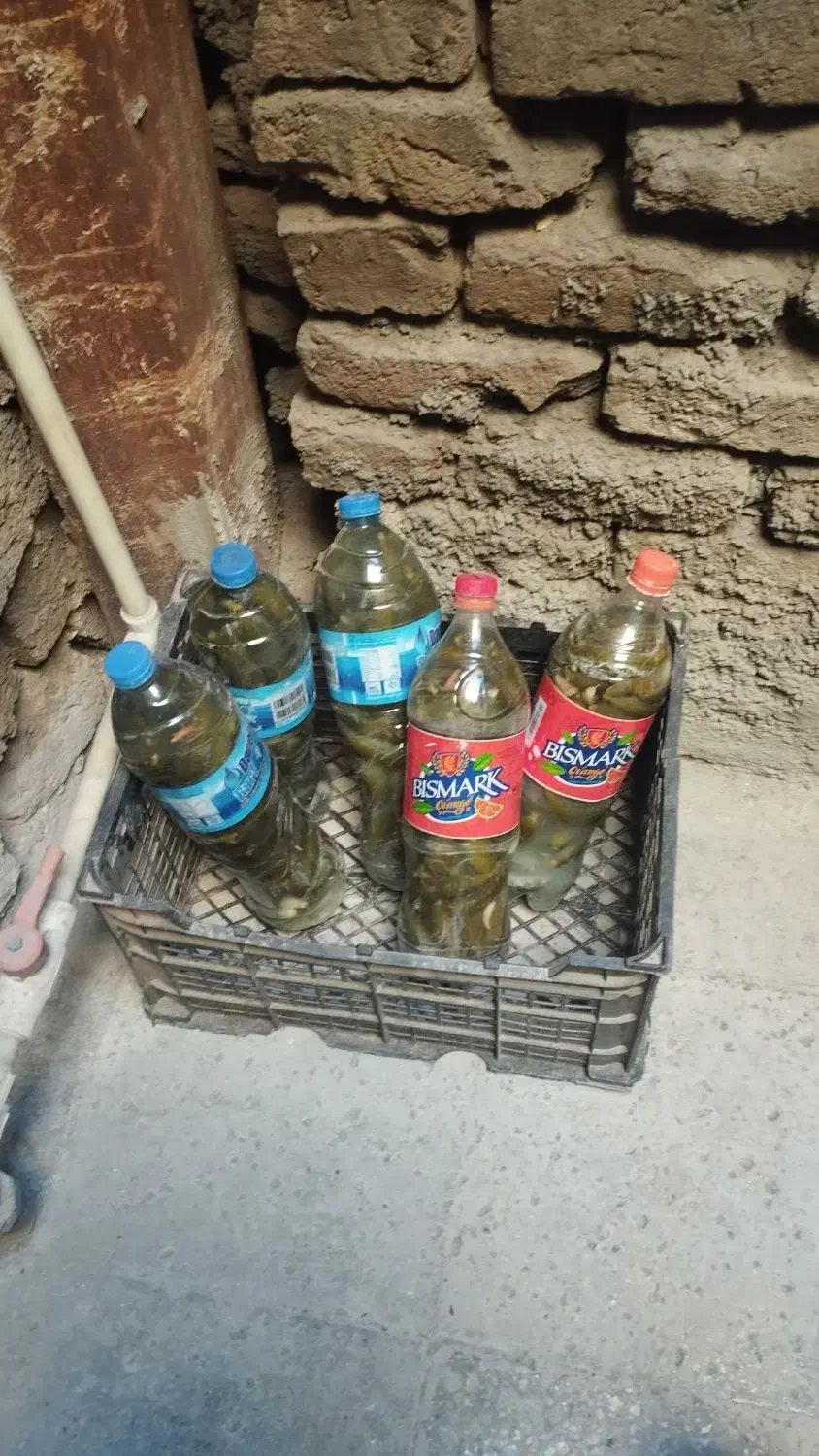 خیارشور|خوردنی و آشامیدنی|نیشابور, گمنام غربی|دیوار