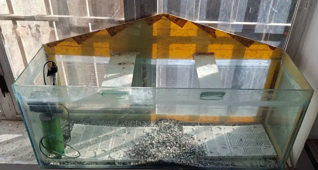 آکواریوم بزرگ سالم با مقداری لوازم|ماهی|تربتحیدریه, شهرک ولیعصر|دیوار