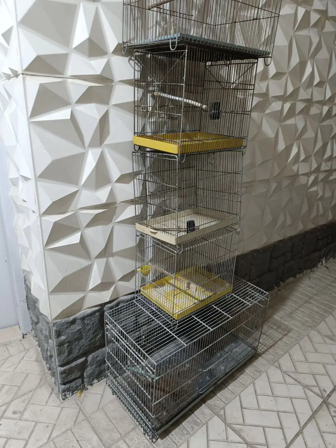 5تا قفس پرنده|لوازم جانبی حیوانات|جاجرود, |دیوار