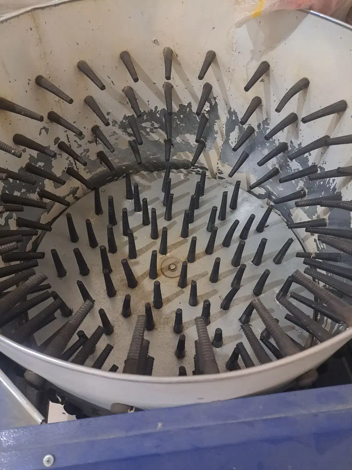 باسلام یک دستگاه پرکن بزرگ|لوازم جانبی حیوانات|بانه, |دیوار