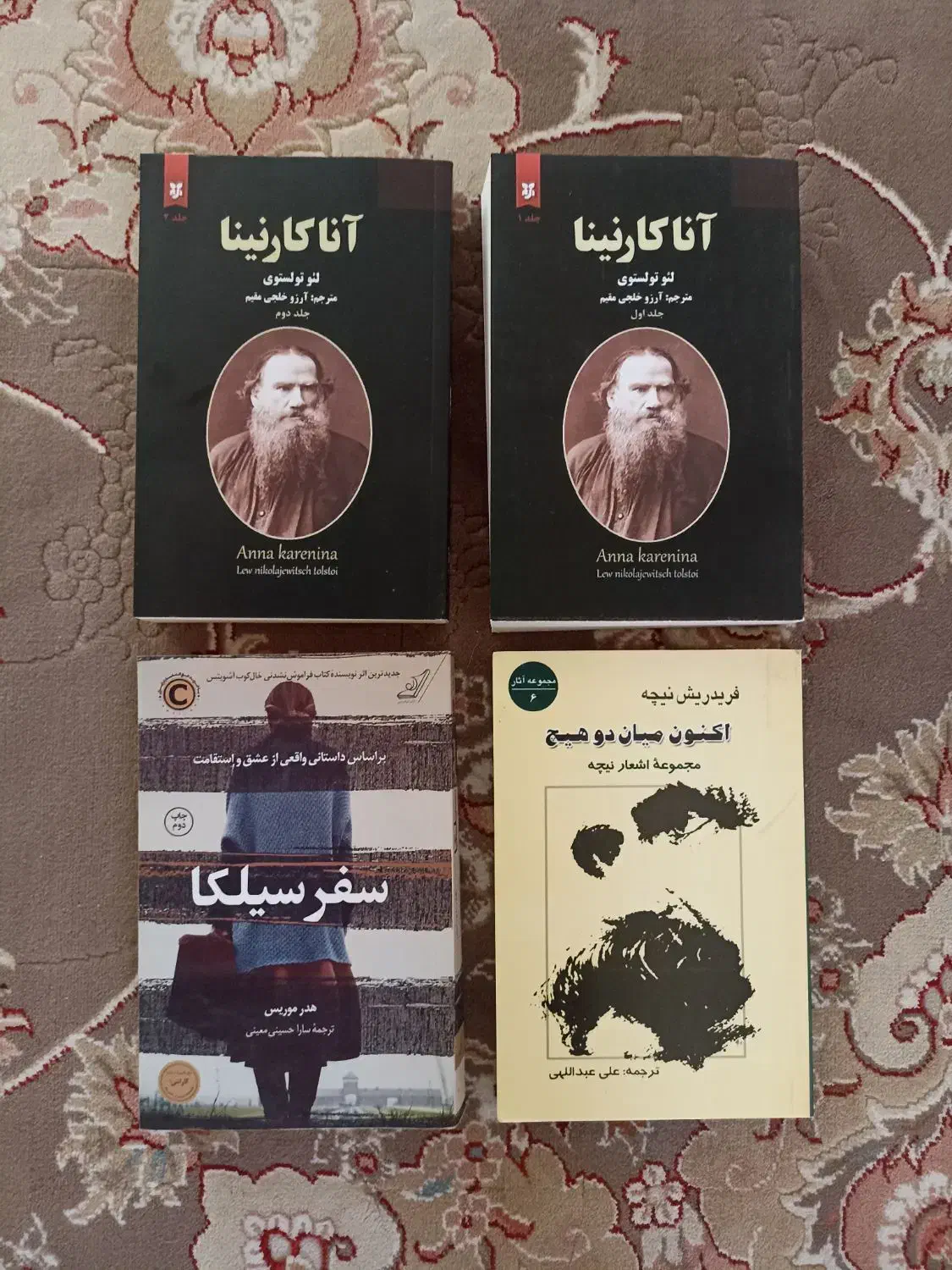 کتاب اناکارنینا تولستوی،سفر سیلکا،نیچه|کتاب و مجله ادبی|خرمآباد, |دیوار