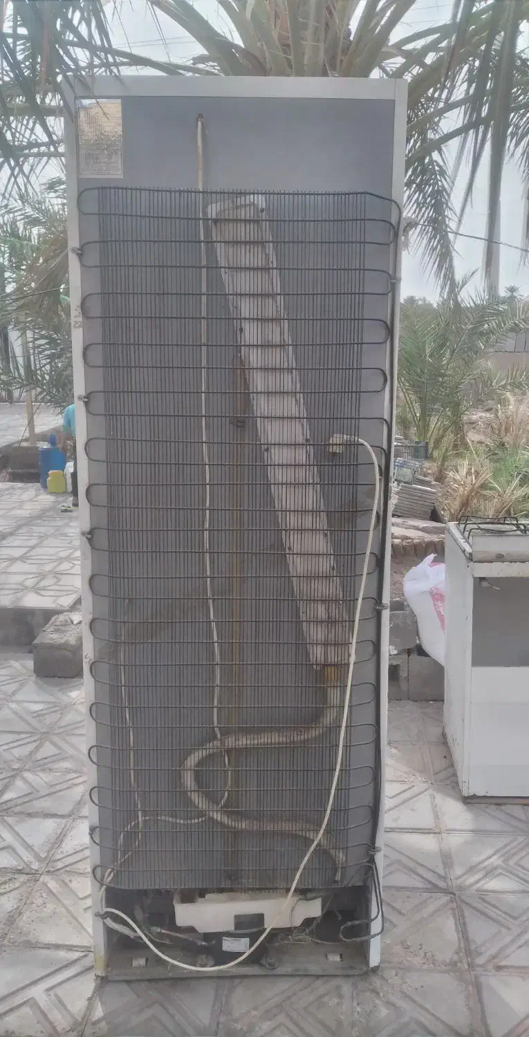 یخچال سالم اوکی|یخچال و فریزر|بم, |دیوار