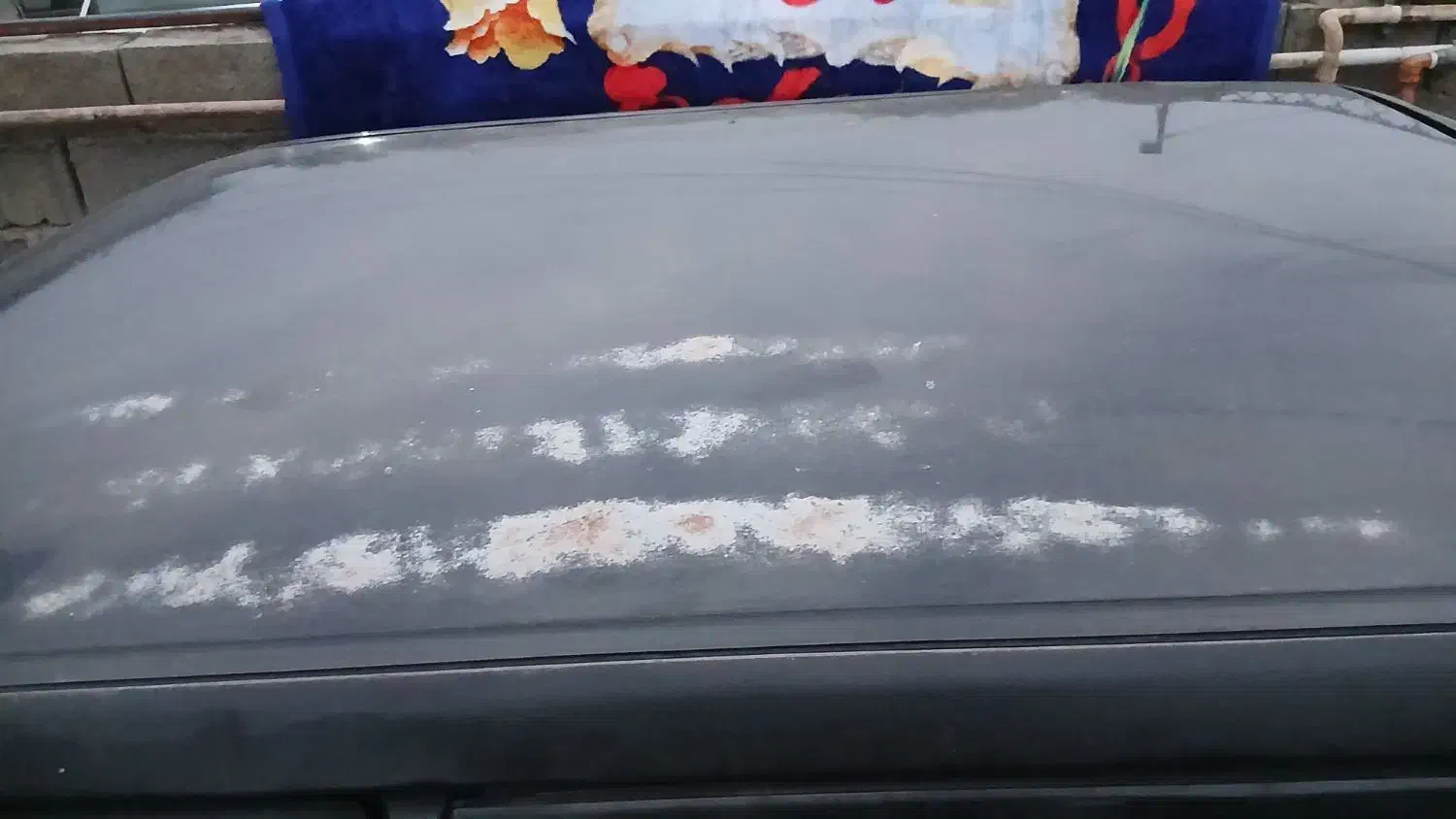 هاچبگ مدل۸۳عروسک|خودرو سواری و وانت|آق قلا, |دیوار