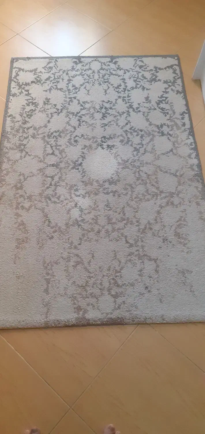 قالیچه|فرش|رشت, دیلمان|دیوار