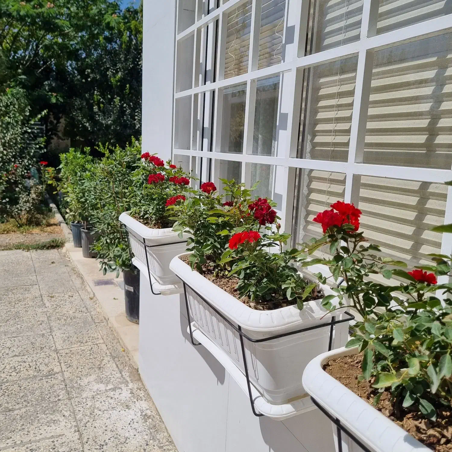 رزرو روزانه سوئیت فلت شعله(امن و خانوادگی)|اجارهٔ کوتاه‌مدت آپارتمان و سوئیت|شهریار, رزکان|دیوار