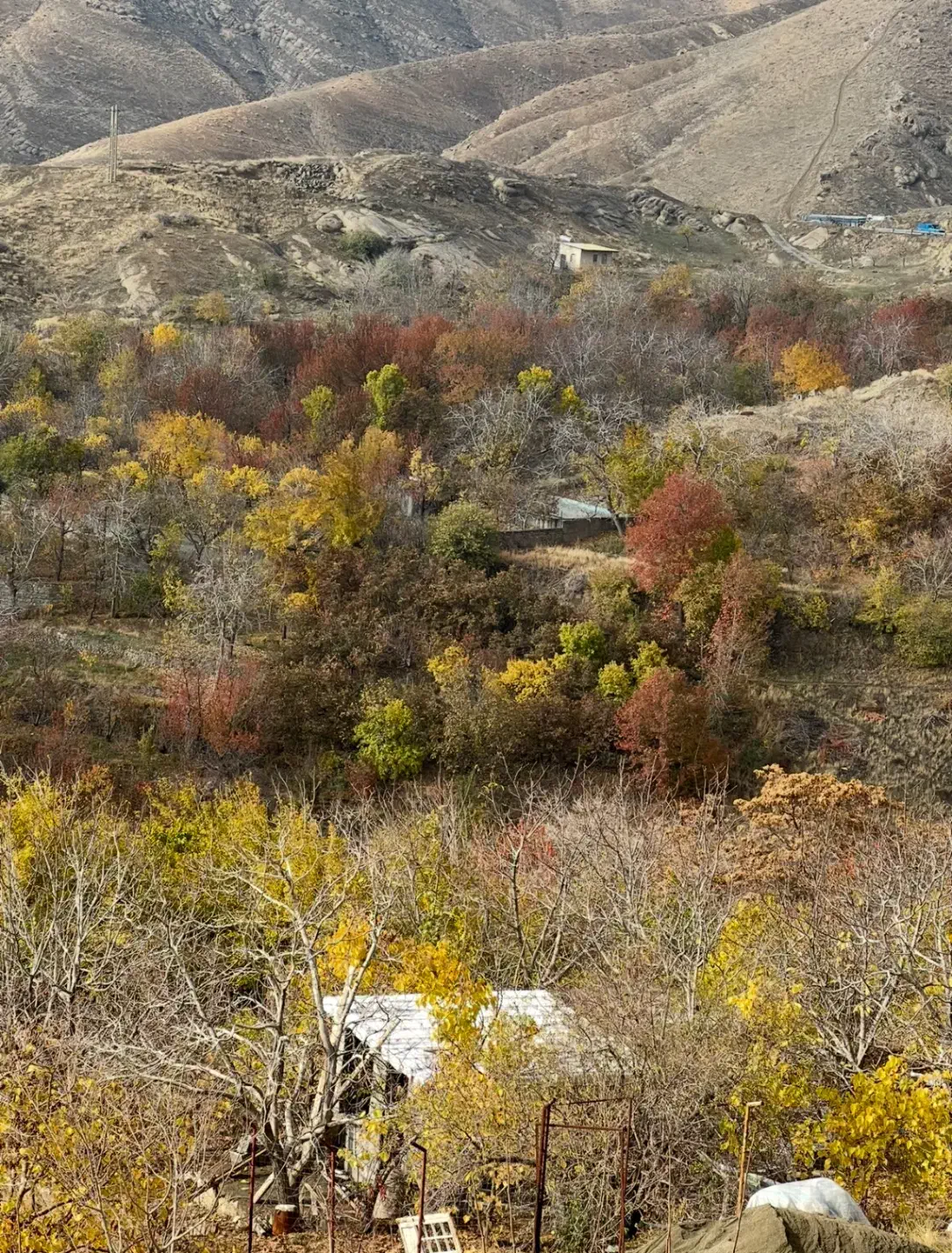 باغچه ۴۰۰ متری با سوییت نوساز وردیج|فروش خانه و ویلا|کن, |دیوار