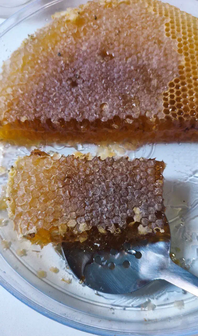 عسل طبیعی آذربایجان|حراج|قم, نیروگاه|دیوار