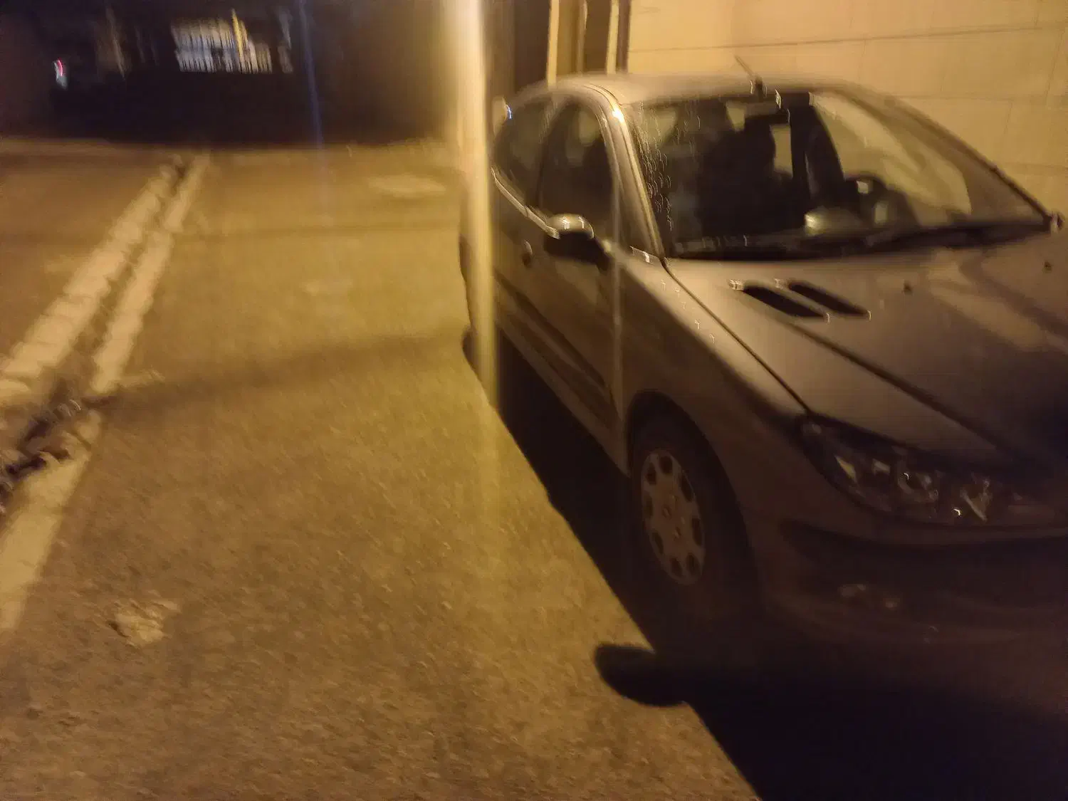 206 فرانسه|خودرو سواری و وانت|بوئین زهرا, |دیوار