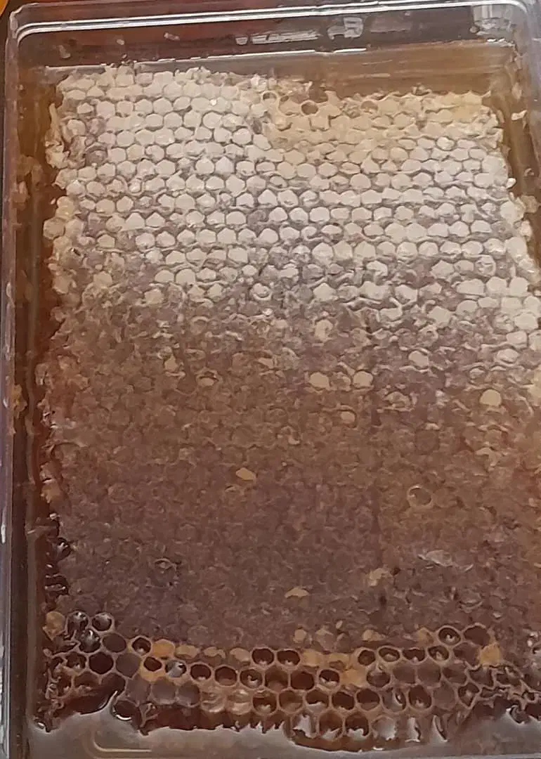 عسل های خالص کنار وگون بدون تغذیه|خوردنی و آشامیدنی|شیراز, شهرک ایثار|دیوار