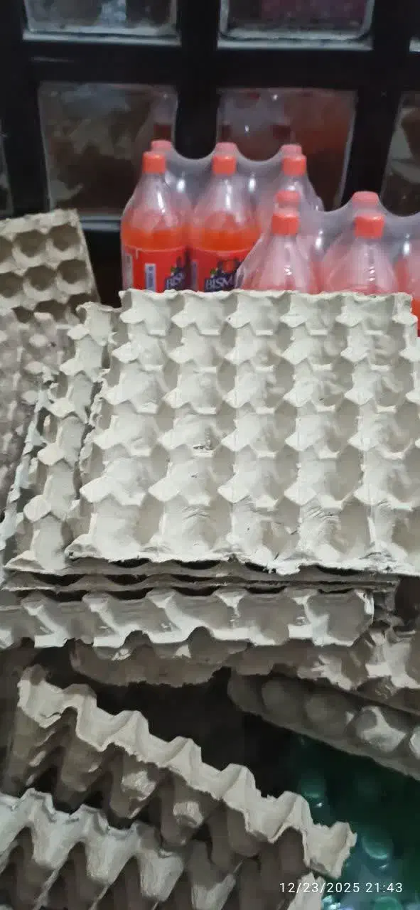 شانه تخم مرغ|عمده‌فروشی|فردوس (خراسان), |دیوار