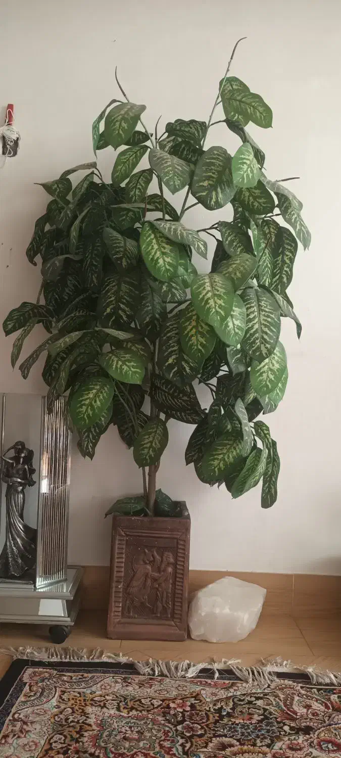 درخت مصنوعی|گل مصنوعی|خمینی‌شهر, |دیوار