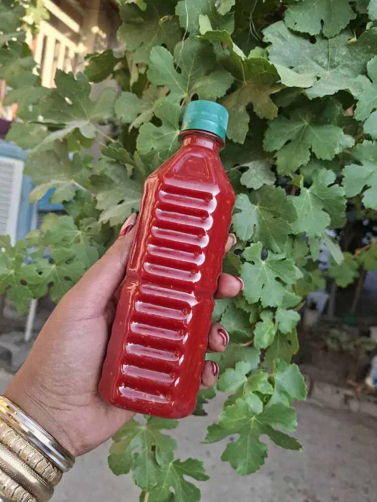 رب فلفلی سیری|خوردنی و آشامیدنی|شیراز, ابیوردی|دیوار