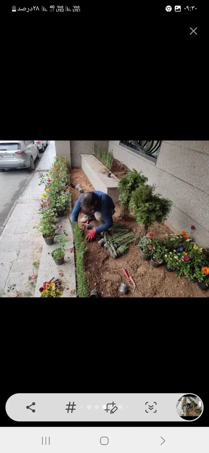 باغبانی در پردیس کرشت رودهن مهراباد|خدمات باغبانی و درختکاری|پردیس, فاز ۸|دیوار