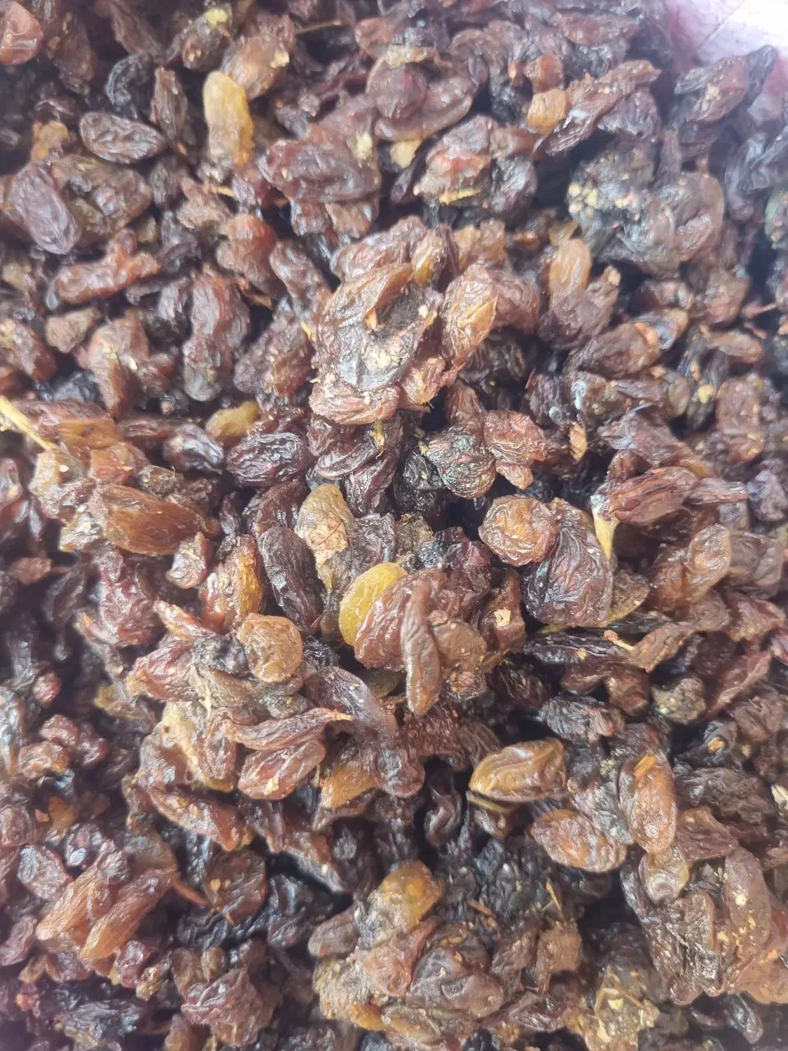 کشمش کاشمر درجه ۱ تازه امسالی عمده عمده|عمده‌فروشی|اردبیل, |دیوار